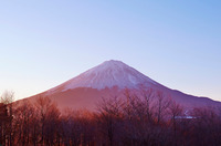 星野リゾートのプレスリリース画像2