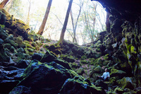 星野リゾートのプレスリリース画像1