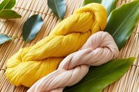 星野リゾートのプレスリリース画像2