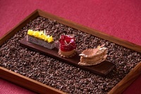 星野リゾートのプレスリリース画像4