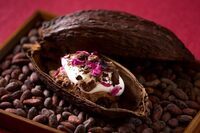 星野リゾートのプレスリリース画像2