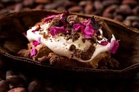 星野リゾートのプレスリリース画像7