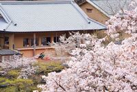 星野リゾートのプレスリリース画像3