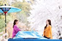 星野リゾートのプレスリリース画像8