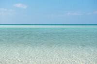 星野リゾートのプレスリリース画像2