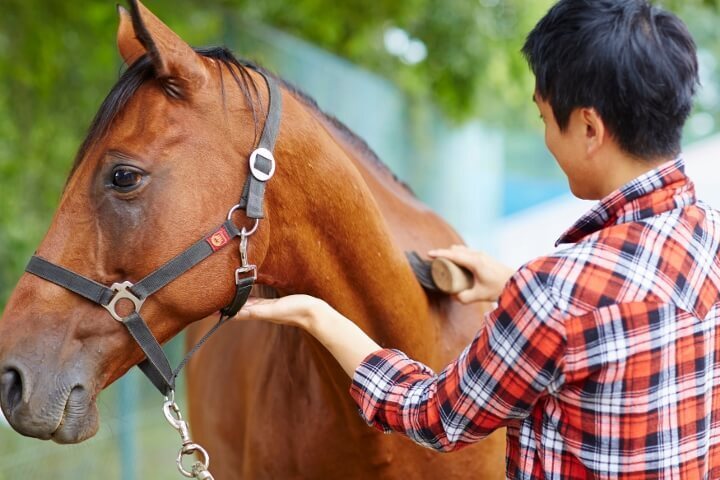 星野リゾートのプレスリリース画像3