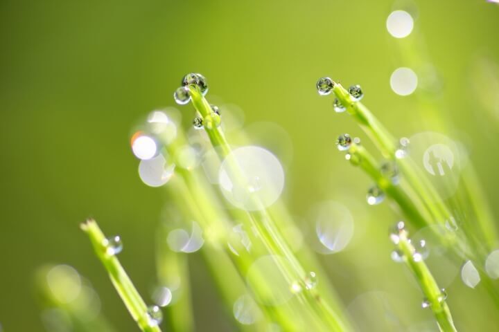 星野リゾートのプレスリリース画像4