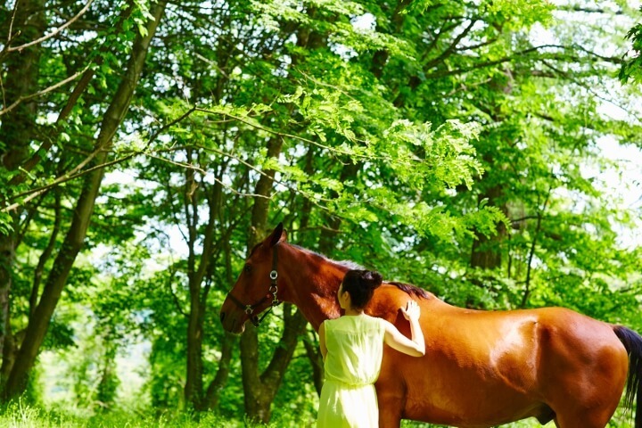 星野リゾートのプレスリリース画像1