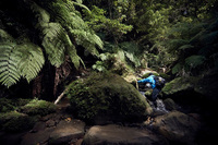 星野リゾートのプレスリリース画像1