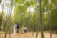 星野リゾートのプレスリリース画像1