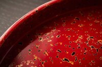 星野リゾートのプレスリリース画像2