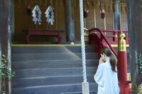 星野リゾートのプレスリリース画像2