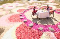 星野リゾートのプレスリリース画像6