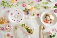 星野リゾートのプレスリリース画像7