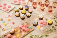 星野リゾートのプレスリリース画像4