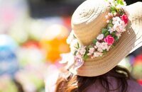 星野リゾートのプレスリリース画像8