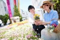 星野リゾートのプレスリリース画像6