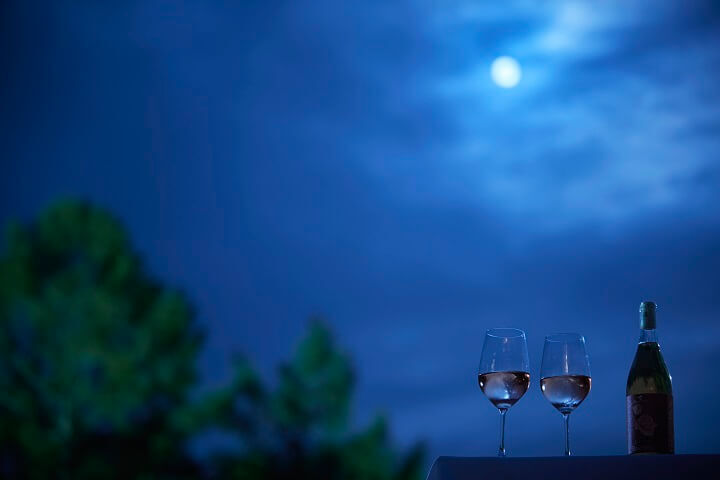 星野リゾートのプレスリリース画像5