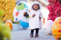 星野リゾートのプレスリリース画像2