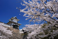 星野リゾートのプレスリリース画像3