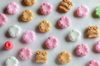 星野リゾートのプレスリリース画像4