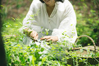 星野リゾートのプレスリリース画像4