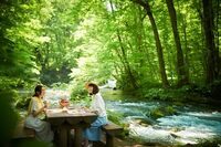 星野リゾートのプレスリリース画像3