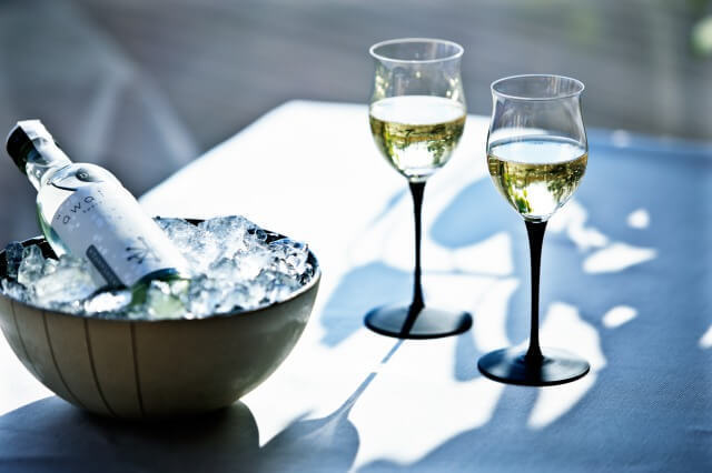 星野リゾートのプレスリリース画像4