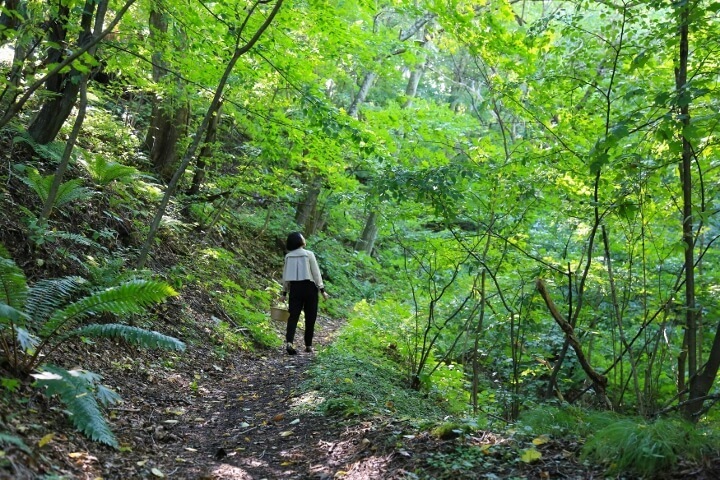 星野リゾートのプレスリリース画像2