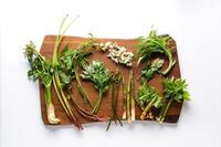 星野リゾートのプレスリリース画像1