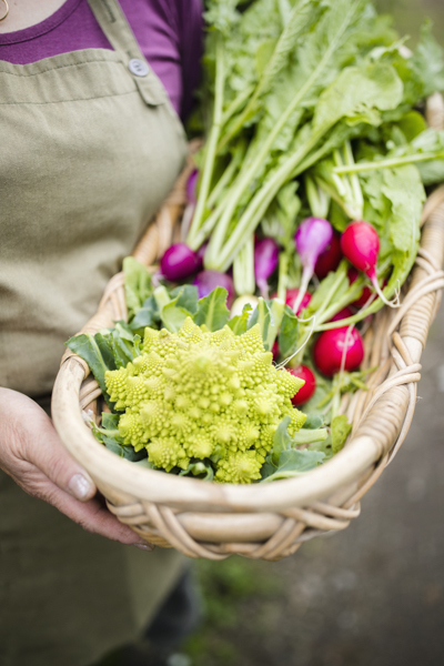 星野リゾートのプレスリリース画像2