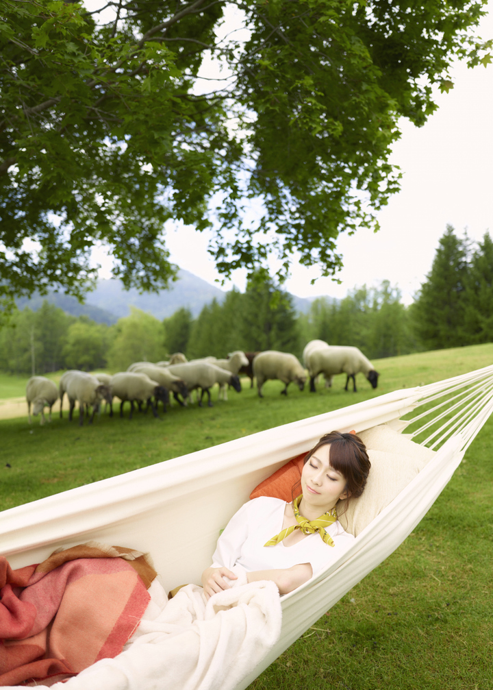 星野リゾートのプレスリリース画像7