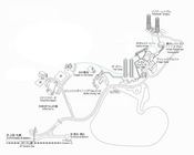 星野リゾートのプレスリリース画像9