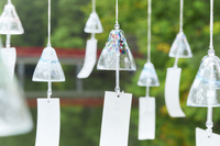 星野リゾートのプレスリリース画像4