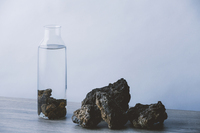 星野リゾートのプレスリリース画像4