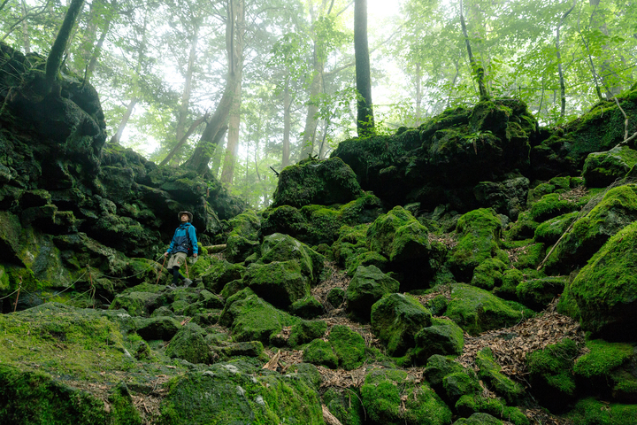 星野リゾートのプレスリリース画像1