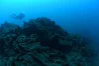 星野リゾートのプレスリリース画像3