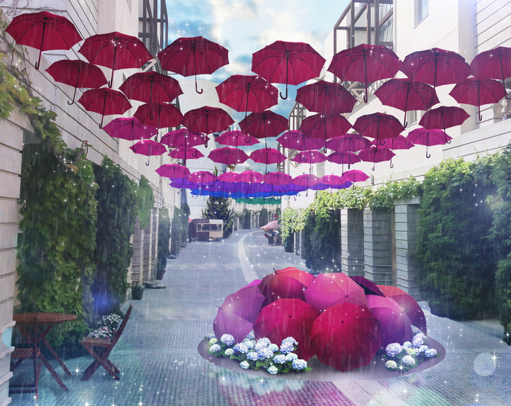 星野リゾートのプレスリリース画像4