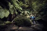 星野リゾートのプレスリリース画像4