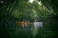 星野リゾートのプレスリリース画像1