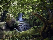 星野リゾートのプレスリリース画像6