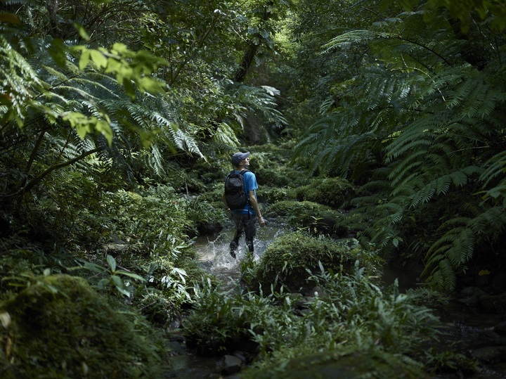 星野リゾートのプレスリリース画像8