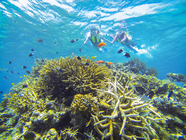 星野リゾートのプレスリリース画像3