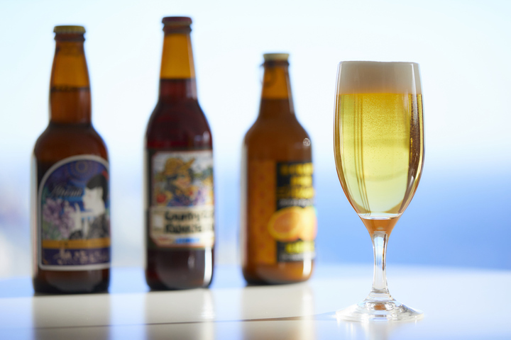 星野リゾートのプレスリリース画像2