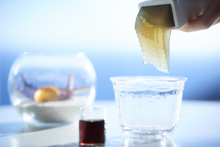 星野リゾートのプレスリリース画像6