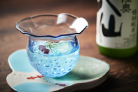 星野リゾートのプレスリリース画像6