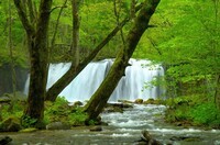 星野リゾートのプレスリリース画像3