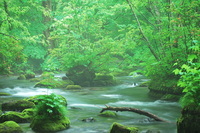 星野リゾートのプレスリリース画像6