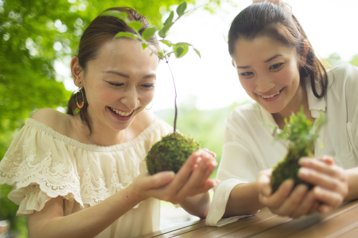 星野リゾートのプレスリリース画像2