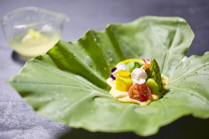 星野リゾートのプレスリリース画像3